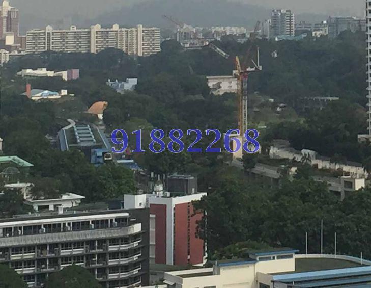 Blk 38 Jalan Rumah Tinggi (Bukit Merah), HDB 4 Rooms #86117042